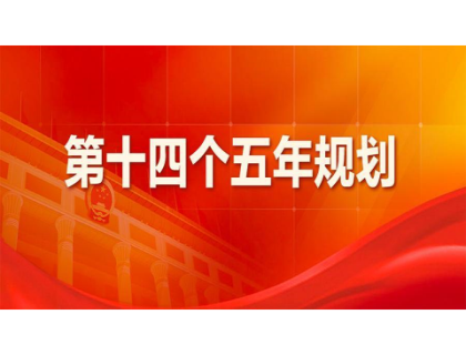 MK体育(国际)官方网站-MKSPORTS为“十四五”规划建言献策 